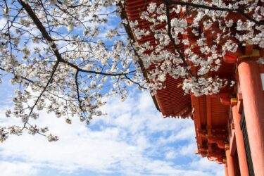 不登校生の修学旅行